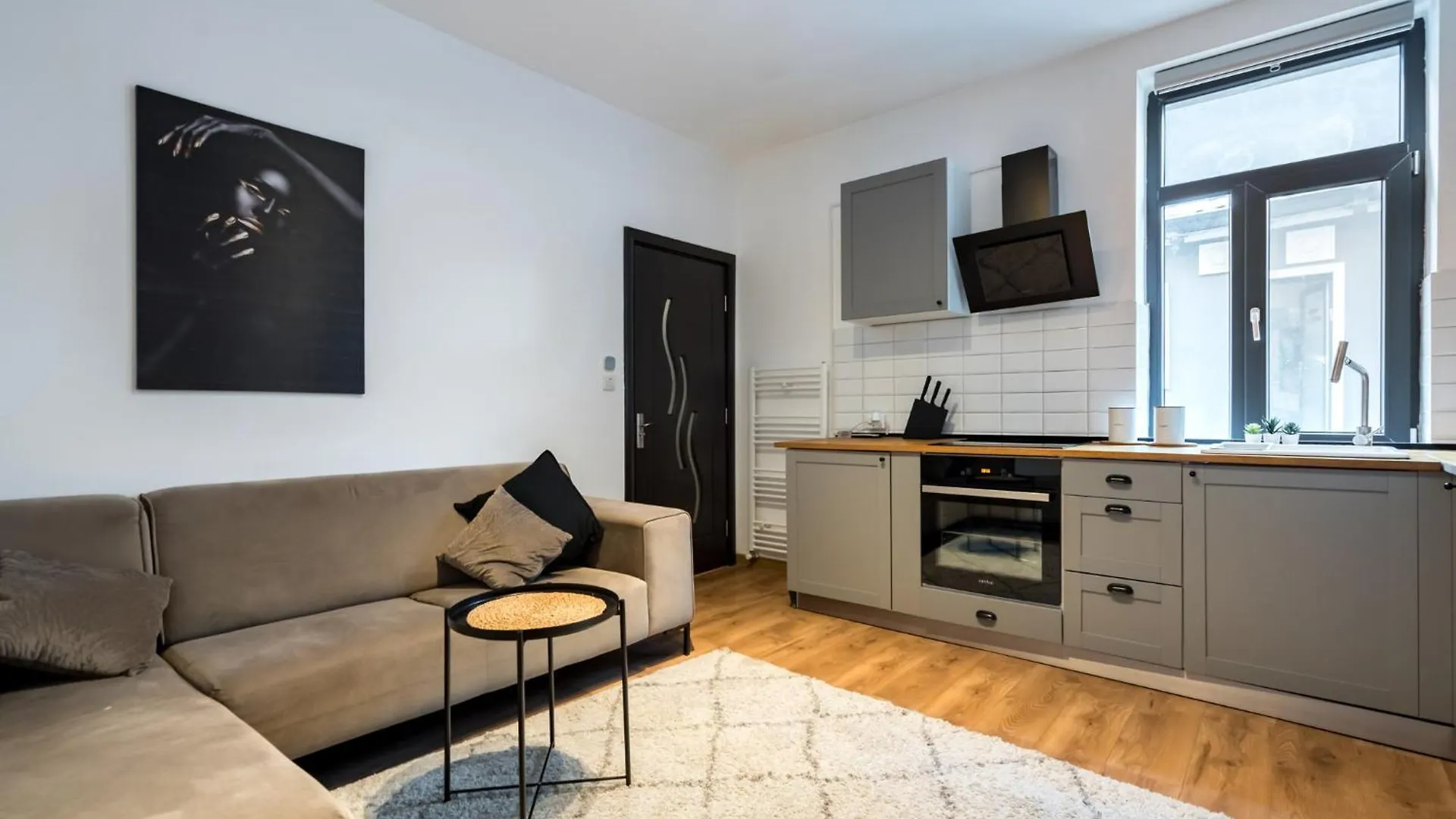 Apartment Black Rose Bucharest